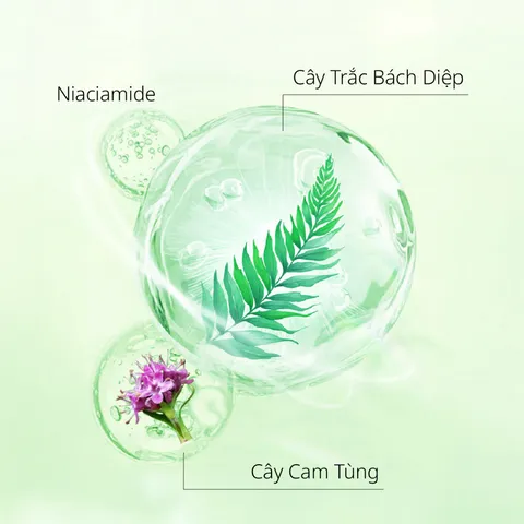 Dầu xả Chando Himalaya Ngăn Gãy Rụng & Kiểm Soát Dầu - Chăm Sóc Tóc Khỏe Mạnh, Hương Thơm Dịu Nhẹ, 600ml