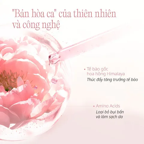 Gel Rửa Mặt Phục Hồi Da Chando Himalaya Pink Diamond - Cleansing Gel Amino Acid Dịu Nhẹ, Phù Hợp Mọi Loại Da, 150g