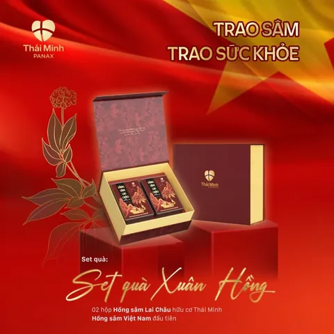 Set 2 Hộp Hồng Sâm Lai Châu Hữu Cơ Thái Minh - Bổ Sung Dưỡng Chất, Tăng Cường Sức Khỏe và Sức Đề Kháng, Quà Tặng Sang Trọng