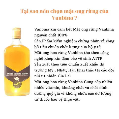 Mật Ong Rừng Vanbina Nguyên Chất Tây Nguyên 545gr - Mật Ong Tự Nhiên Chống Vi Khuẩn, Hỗ Trợ Làm Đẹp, Xuất Khẩu Việt Nam
