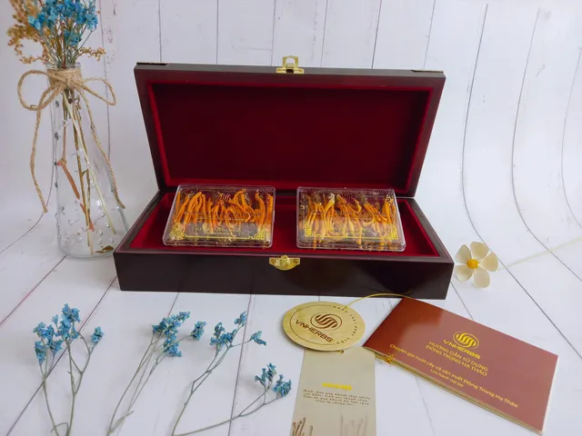 Đông Trùng Hạ Thảo Ký Chủ Nhộng - VNHERBS Hộp Gỗ 80 con - Sản Phẩm Dinh Dưỡng Từ Nấm Cordyceps Militaris Tăng Cường Sức Khỏe