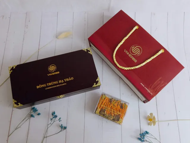 Đông Trùng Hạ Thảo Ký Chủ Nhộng - VNHERBS Hộp Gỗ 80 con - Sản Phẩm Dinh Dưỡng Từ Nấm Cordyceps Militaris Tăng Cường Sức Khỏe