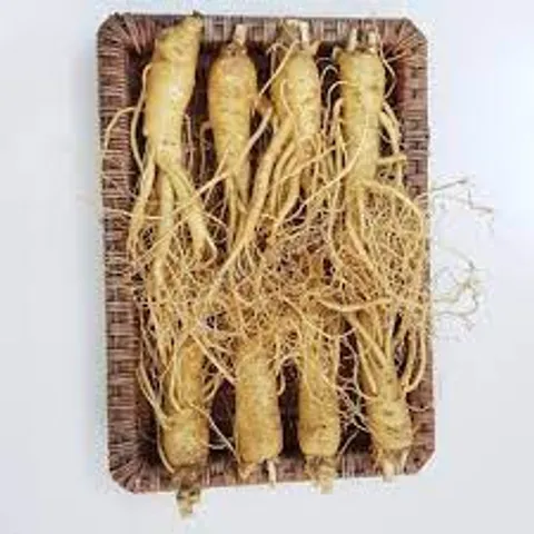 Sâm Tươi Hàn Quốc 6 Năm Tuổi 8 Củ 1kg Loại 1 - Tăng Cường Sức Khỏe & Cải Thiện Tinh Thần - Thực Phẩm Chức Năng Chất Lượng Cao