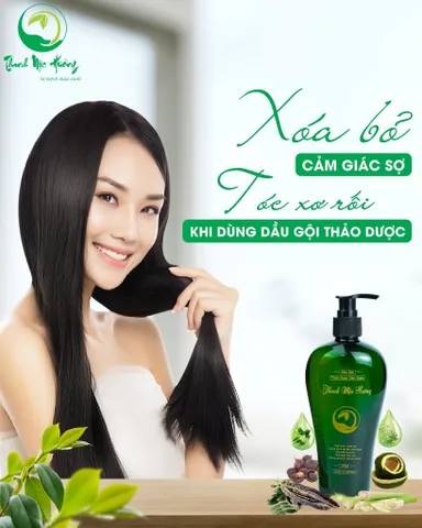 Dầu Gội Thanh Mộc Hương 350ml - Hỗ Trợ Giảm Nấm Gàu, Rụng Tóc, Không Silicon, Dưỡng Tóc Khỏe Mạnh, Thảo Dược Tự Nhiên