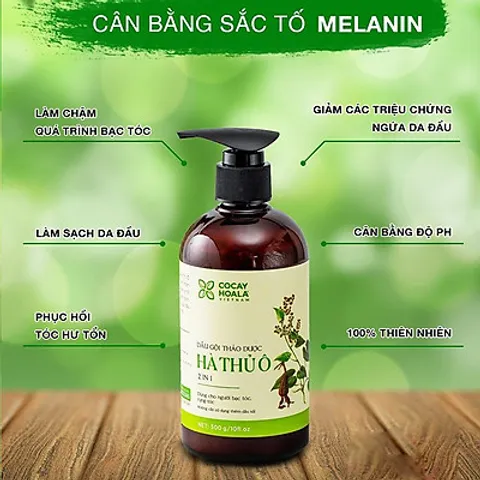 Dầu Gội Hà Thủ Ô 2in1 Cocayhoala - Giảm Rụng Tóc, Kích Thích Mọc Tóc Đen, Chăm Sóc Tóc Hư Tổn, Dưỡng Ẩm Từ Thiên Nhiên