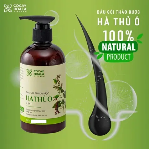 Dầu Gội Hà Thủ Ô 2in1 Cocayhoala - Giảm Rụng Tóc, Kích Thích Mọc Tóc Đen, Chăm Sóc Tóc Hư Tổn, Dưỡng Ẩm Từ Thiên Nhiên