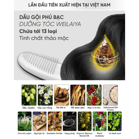 Dầu Gội Phủ Bạc Dưỡng Tóc Weilaiya 100ml - Sản Phẩm Chăm Sóc Tóc Từ Thiên Nhiên Giúp Đen Tóc Mềm Mượt