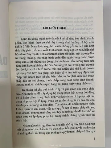 Sách Pháp Luật Dân Sự - Kinh Tế & Thực Tiễn Xét Xử Tập 1 của Luật sư Tưởng Duy Lượng - Tìm hiểu pháp luật và giải quyết tranh chấp
