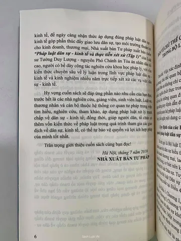 Sách Pháp Luật Dân Sự - Kinh Tế & Thực Tiễn Xét Xử Tập 1 của Luật sư Tưởng Duy Lượng - Tìm hiểu pháp luật và giải quyết tranh chấp