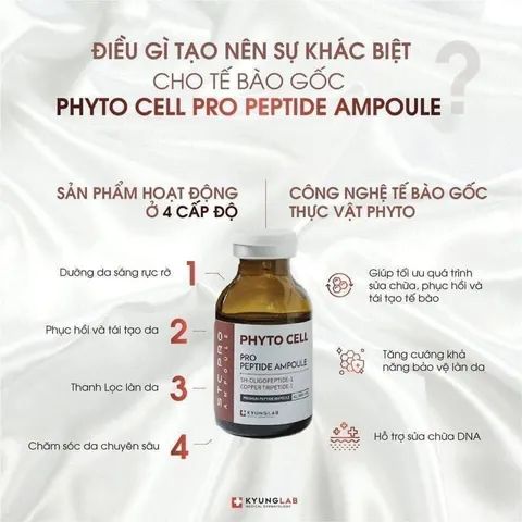 Tế Bào Gốc KyungLab Phyto Cell Pro Peptide Ampoule 20ml - Serum Tái Tạo Da, Ngăn Ngừa Lão Hóa, Dưỡng Ẩm Chuyên Sâu, Hàng Chính Hãng Hàn Quốc