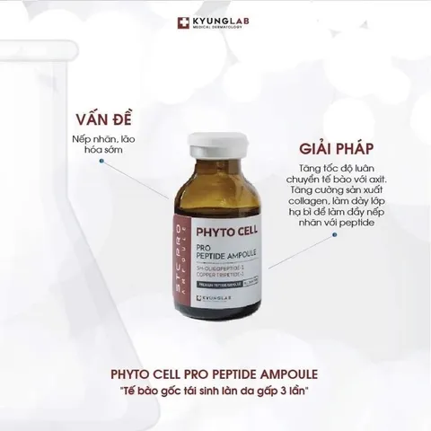 Tế Bào Gốc KyungLab Phyto Cell Pro Peptide Ampoule 20ml - Serum Tái Tạo Da, Ngăn Ngừa Lão Hóa, Dưỡng Ẩm Chuyên Sâu, Hàng Chính Hãng Hàn Quốc