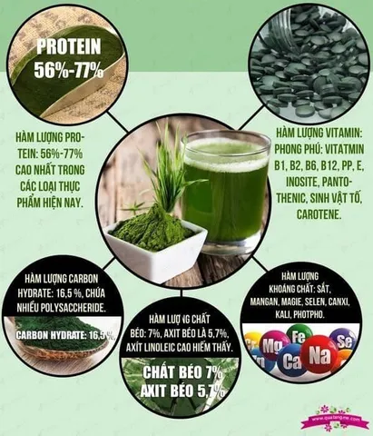 Tảo xoắn Nhật Bản Spirulina 2000 viên - Siêu thực phẩm tăng cường sức khỏe, bổ sung dinh dưỡng và hỗ trợ giảm cân hiệu quả.