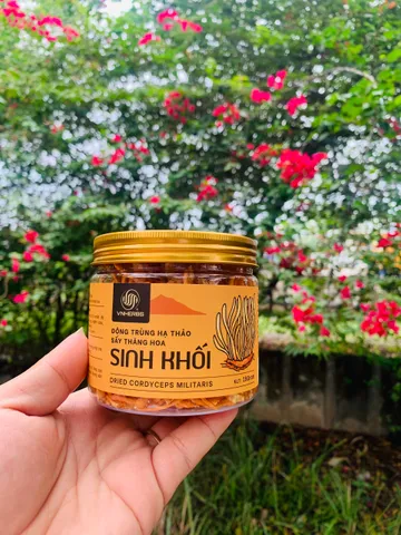Đông Trùng Hạ Thảo Sinh Khối Khô VnHerbs 15g - Thực Phẩm Chức Năng Tăng Cường Sức Khỏe, Hỗ Trợ Lão Hóa, Cải Thiện Sinh Lý