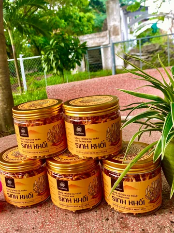 Đông Trùng Hạ Thảo Sinh Khối Khô VnHerbs 15g - Thực Phẩm Chức Năng Tăng Cường Sức Khỏe, Hỗ Trợ Lão Hóa, Cải Thiện Sinh Lý