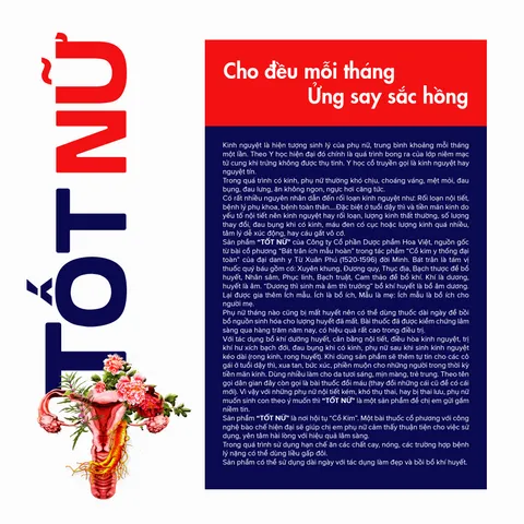 Viên Uống Bổ Huyết Điều Hòa Kinh Nguyệt Tốt Nữ Hoa Việt - Tăng Cường Nội Tiết Tố, Giảm Đau Bụng, Hỗ Trợ Phụ Nữ 60 Viên