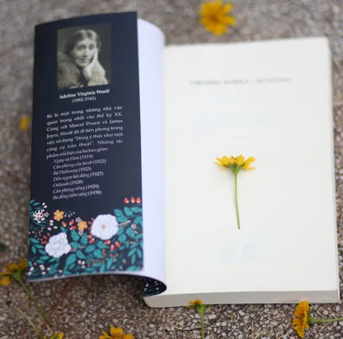 Bà Dalloway - Virginia Woolf, Tiểu Thuyết Kinh Điển Thế Kỷ 20, Dịch Giả Trần Nguyên, Sách Mới Bìa Mềm 340 Trang