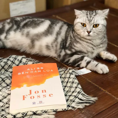 Sách Aliss Bên Đám Lửa - Jon Fosse (Nobel Văn Chương 2023) - Tác Phẩm Văn Học Đặc Sắc về Tình Yêu và Nỗi Mất Mát