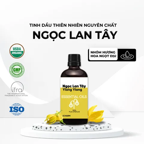 Tinh Dầu Ngọc Lan Tây iCHARM Nguyên Chất - Ylang Ylang Essential Oil Tinh Khiết, Thư Giãn và Tạo Hương Sang Trọng