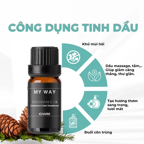 Tinh Dầu Thơm Phòng My Way - Hương Gỗ Đàn Hương Sang Trọng, Tinh Dầu Xông Phòng iCHARM, Thư Giãn & Khử Mùi Tối Ưu