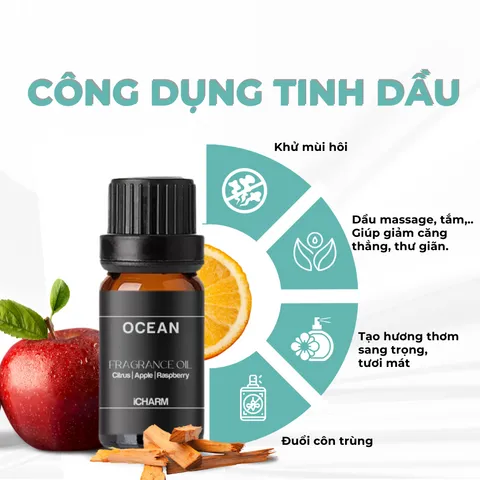 Tinh Dầu Thơm Phòng Ocean iCHARM - Hương Tươi Mát Thư Giãn, Khử Mùi, Tăng Cường Tập Trung - Sản Phẩm Cao Cấp Cho Mọi Không Gian