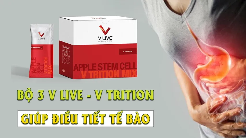 V-Trition+ Thực Phẩm Bảo Vệ Sức Khỏe Hệ Tiêu Hóa, Hỗ trợ Dạ dày, ruột non, đại tràng, các tổn thương hệ tiêu hoá