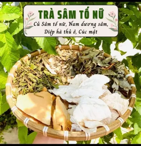Trà Lá Nam Sâm Tố Nữ 4 Vị Tâm An - Hỗ Trợ Cân Bằng Nội Tiết Tố Và Chống Lão Hóa Da, Giảm Cảm Giác Khô Hạn - 15 Gói