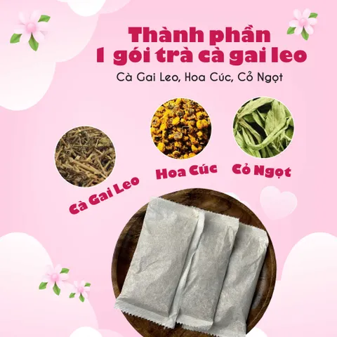 Trà Cà Gai Leo Túi Lọc Từ Siêu Thị Thiên Nhiên