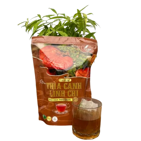 Trà Túi Lọc Thìa Canh Linh Chi Gigaherbs 250g - Hỗ Trợ Ổn Định Đường Huyết, Tăng Cường Miễn Dịch, Giải Độc Gan