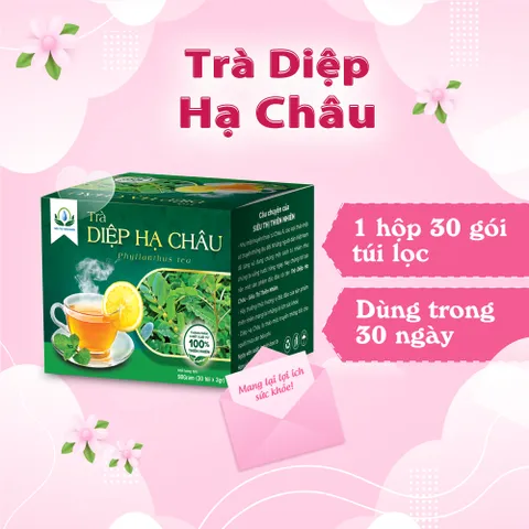Trà Diệp Hạ Châu Hộp 30 Túi Lọc 3g của Siêu Thị Thiên Nhiên