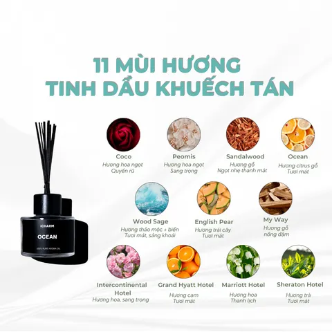 Combo que khuếch tán tinh dầu hương nước hoa, khách sạn iCHARM