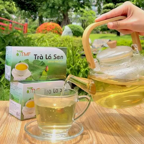 Trà lá sen túi lọc an thần ngủ ngon giảm cân 20 gói - Tâm Minh Foods - Thảo mộc tự nhiên giúp thư giãn và hỗ trợ sức khỏe.