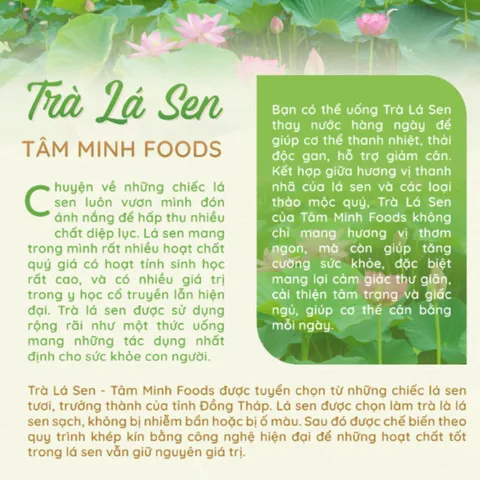 Trà lá sen túi lọc an thần ngủ ngon giảm cân 20 gói - Tâm Minh Foods - Thảo mộc tự nhiên giúp thư giãn và hỗ trợ sức khỏe.