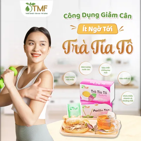 Trà Tía Tô Giải Cảm Tâm Minh Foods - Hộp 20 Gói, Hỗ Trợ Giảm Ho, Dị Ứng Từ Thảo Dược Tự Nhiên, Tăng Cường Miễn Dịch