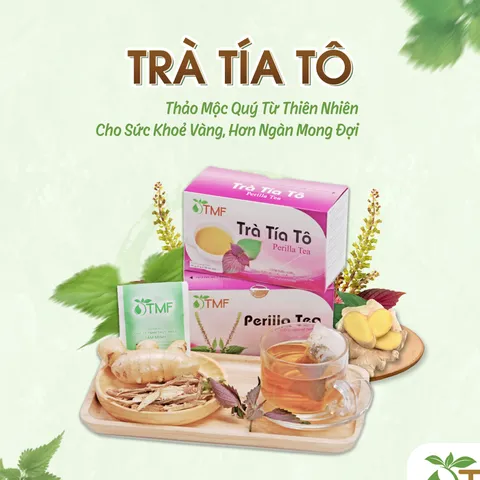 Trà Tía Tô Giải Cảm Tâm Minh Foods - Hộp 20 Gói, Hỗ Trợ Giảm Ho, Dị Ứng Từ Thảo Dược Tự Nhiên, Tăng Cường Miễn Dịch