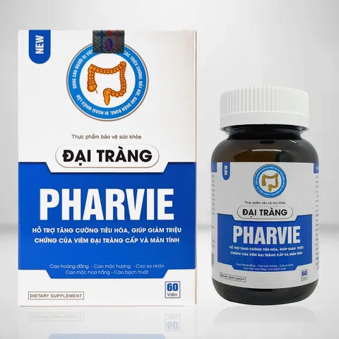 Viên Uống Giảm Chướng Bụng Đầy Hơi, Hỗ Trợ Đại Tràng Pharvie ( Hộp 60 Viên )