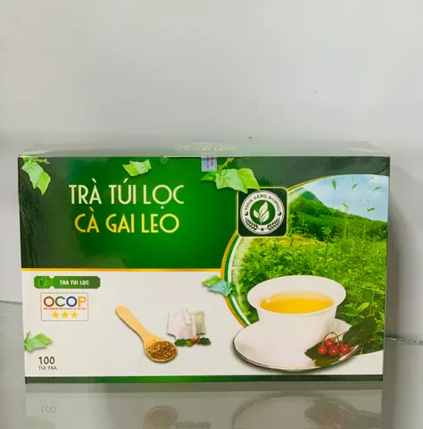 Trà Túi Lọc Cà Gai Leo - Thải Độc Gan, Giải Rượu, Thảo Mộc Tự Nhiên, Hỗ Trợ Tiêu Hóa, 250g (100 Túi)