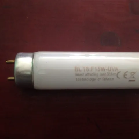 Bóng đèn Taiwan 15W dùng cho đèn diệt côn trùng