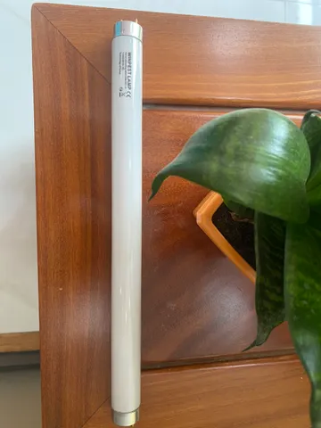 Bóng đèn bắt muỗi 10W WINPEST - Thiết bị diệt côn trùng hiệu quả, an toàn cho không gian gia đình