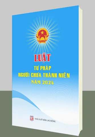 Luật Tư pháp Người Chưa Thành Niên 2024 - Tác giả Quốc Hội, Bìa Mềm, 204 Trang, Cập Nhật Luật Mới Tại Việt Nam