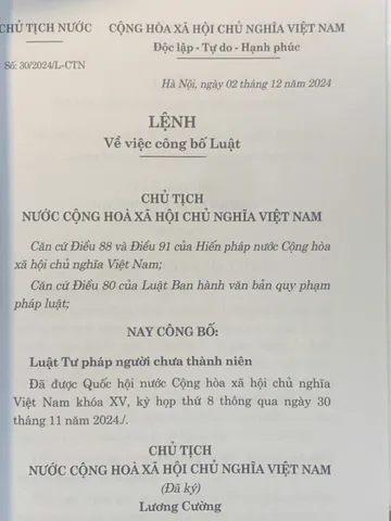 Luật Tư pháp Người Chưa Thành Niên 2024 - Tác giả Quốc Hội, Bìa Mềm, 204 Trang, Cập Nhật Luật Mới Tại Việt Nam