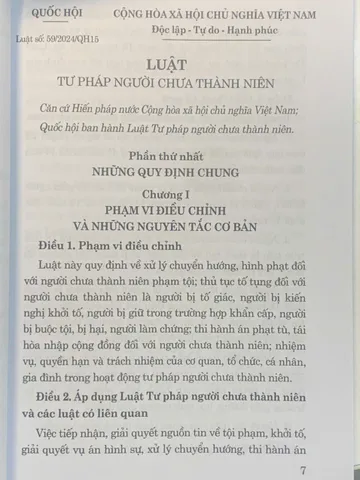 Luật Tư pháp Người Chưa Thành Niên 2024 - Tác giả Quốc Hội, Bìa Mềm, 204 Trang, Cập Nhật Luật Mới Tại Việt Nam