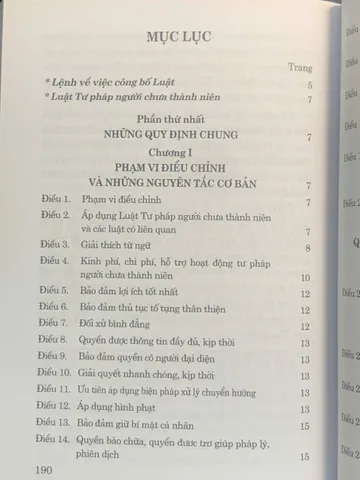 Luật Tư pháp Người Chưa Thành Niên 2024 - Tác giả Quốc Hội, Bìa Mềm, 204 Trang, Cập Nhật Luật Mới Tại Việt Nam