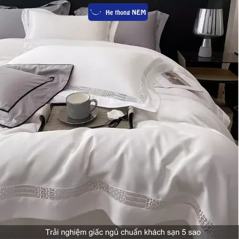 Combo Chăn Ga Gối 5 Món Lụa Tencel Cao Cấp - Sang Trọng, Mềm Mại, Thoáng Khí, Bộ Vỏ Chăn Ra Drap Đầy Đủ, Giao Hàng Nhanh
