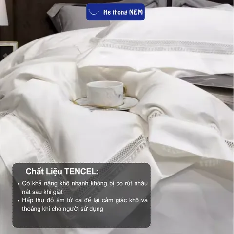 Combo Chăn Ga Gối 5 Món Lụa Tencel Cao Cấp - Sang Trọng, Mềm Mại, Thoáng Khí, Bộ Vỏ Chăn Ra Drap Đầy Đủ, Giao Hàng Nhanh