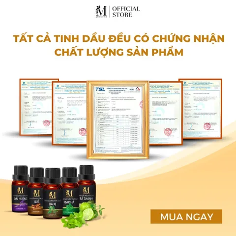 Tinh dầu xá xị nguyên chất Mocotics dung tích 5ml - 50ml giúp khử mùi, làm thơm phòng, oto hiệu quả