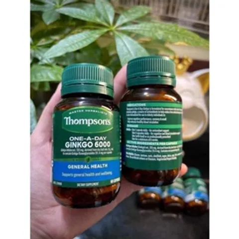 Viên uống bổ não Thompsons One-A-Day Ginkgo 6000 hàng chuẩn mới về