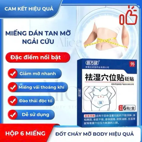 Combo 5 Hộp Miếng Dán Tan Mỡ Đốt Cháy Mỡ Thừa Bụng & Eo - Giảm Cân Tự Nhiên Bằng Thảo Dược Đông Y