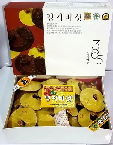 Nấm Linh Chi Vàng Cao Cấp 365 Hàn Quốc - Hộp 1kg Tăng Cường Miễn Dịch, Hỗ Trợ Sức Khỏe Từ Thiên Nhiên