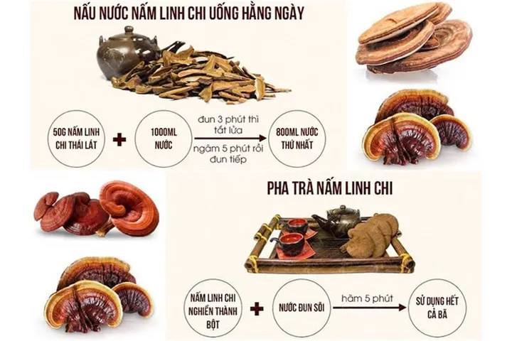 Nấm Linh Chi Vàng Cao Cấp 365 Hàn Quốc - Hộp 1kg Tăng Cường Miễn Dịch, Hỗ Trợ Sức Khỏe Từ Thiên Nhiên