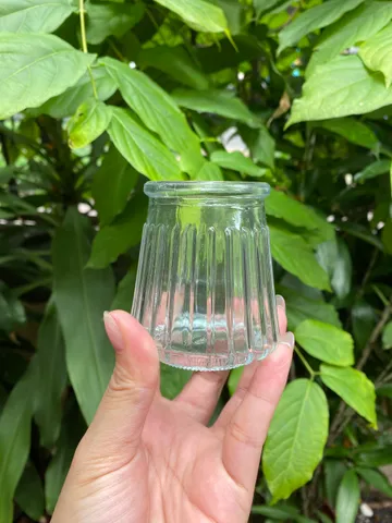Hũ Thủy Tinh Làm Sữa Chua 100ml - Chứa Đựng Pudding, Đồ Ăn Dặm Kèm Nắp Đậy - Lựa Chọn Vệ Sinh Và Tiện Lợi Cho Gia Đình